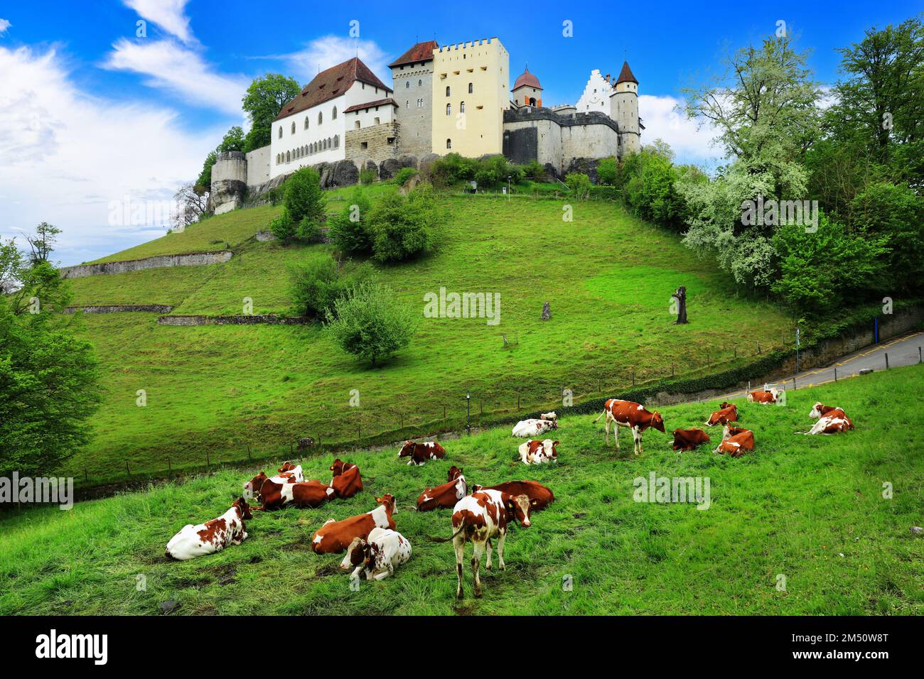 Panorama svizzero con castelli medievali, pascoli verdi e mucche. Lenzburg , Svizzera Foto Stock