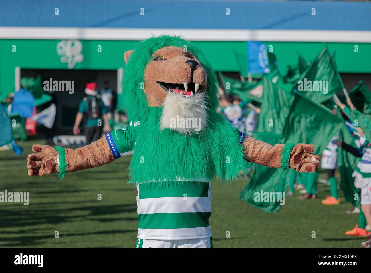 Treviso, Italia. 24th Dec, 2022. Benetton Mascotte durante Benetton Rugby vs Zebre Rugby Club, partita United Rugby Championship a Treviso, Italia, dicembre 24 2022 Credit: Independent Photo Agency/Alamy Live News Foto Stock