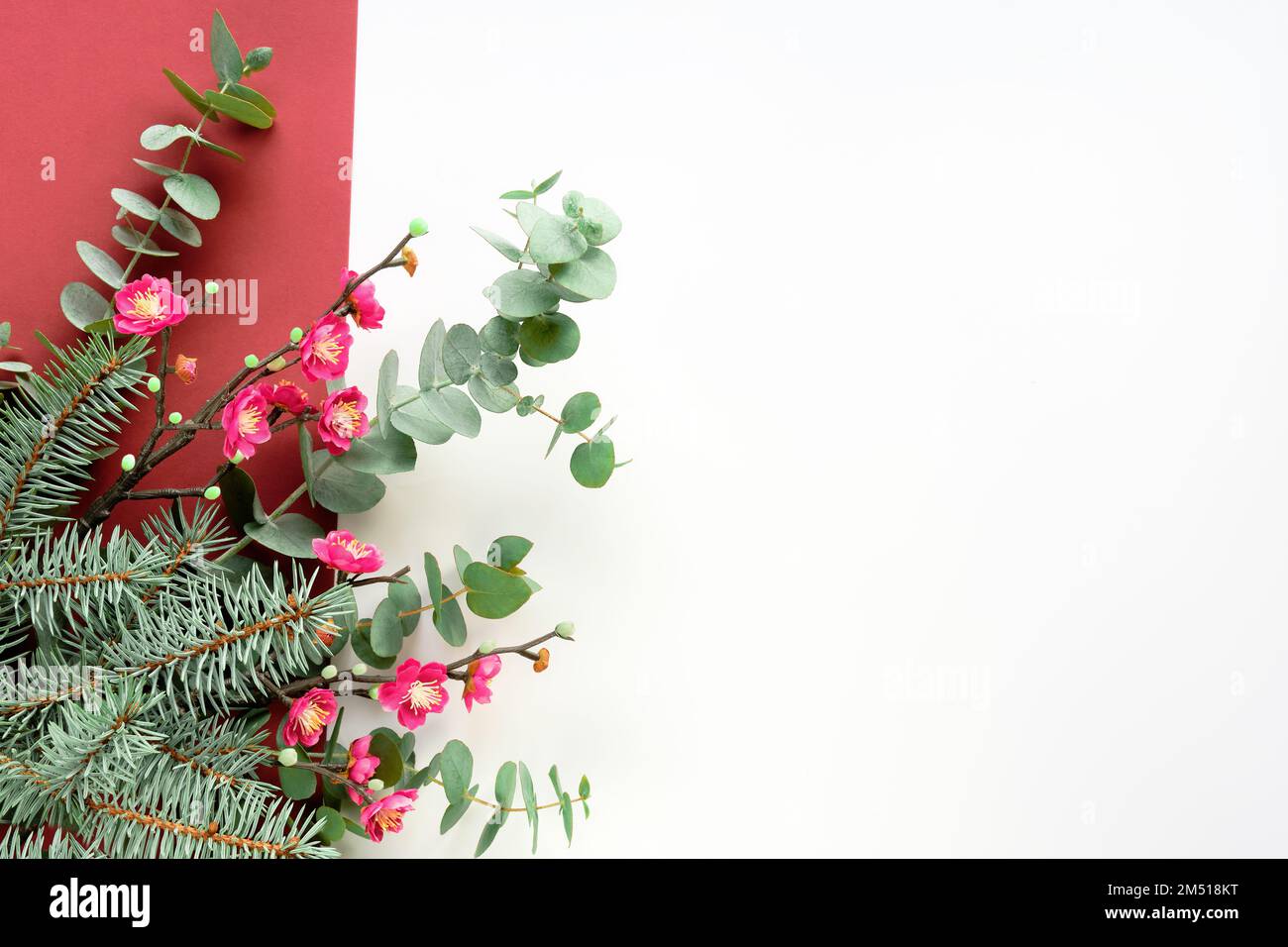 Fiori di magnolia rosa su ramoscelli freschi di eucalipto e abete. Elemento angolare decorativo, piatto su sfondo bianco. Spazio di copia, luogo per il testo del messaggio di saluto. Foto Stock