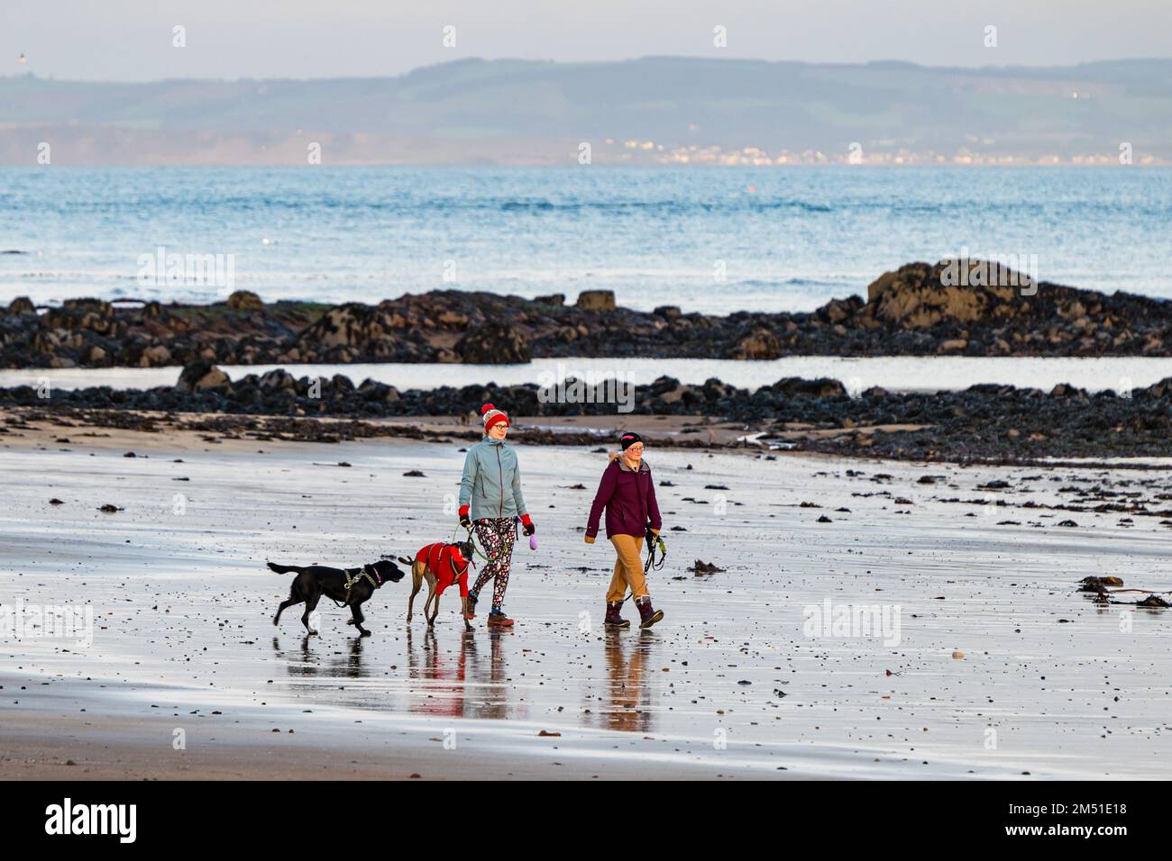 North Berwick, East Lothian, Scotland, UK, 24th dicembre 2022. Il tempo del Regno Unito: Le donne camminano i loro cani sulla spiaggia su una mite e tranquilla vigilia di Natale sulla spiaggia di West Bay sulla costa Firth of Forth la mattina presto. Credit: Sally Anderson/Alamy Live News Foto Stock