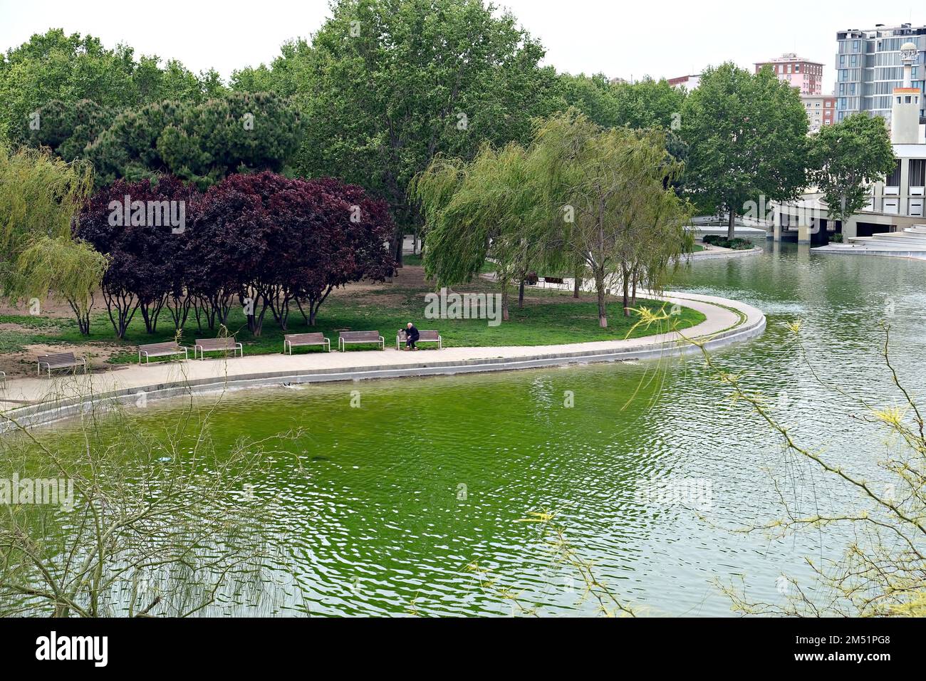 Un uomo anziano riposa su una panchina nel Parco della Spagna industriale a Barcellona Foto Stock