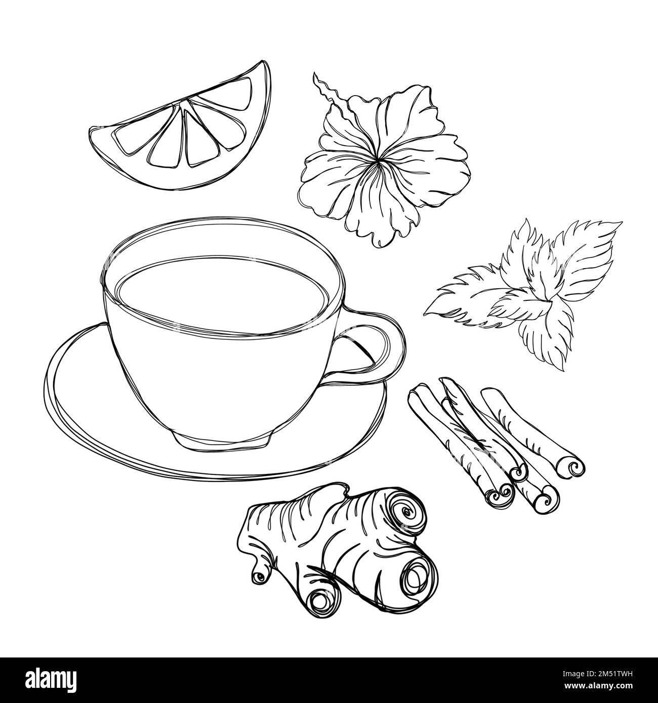 Collezione di tè - una tazza di tè con zenzero, limone, foglie di menta, cannella e ibisco, Line Art Foto Stock