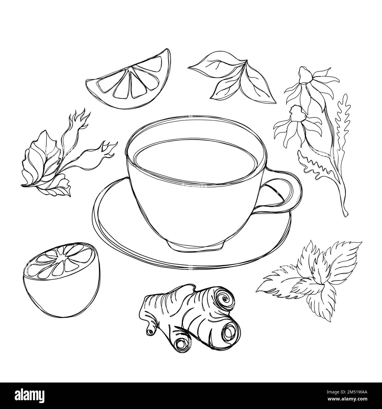 Collezione di tè - una tazza di tè con zenzero, limone, fiore di camomilla, foglie di menta, cannella e ibisco, Art linea Foto Stock