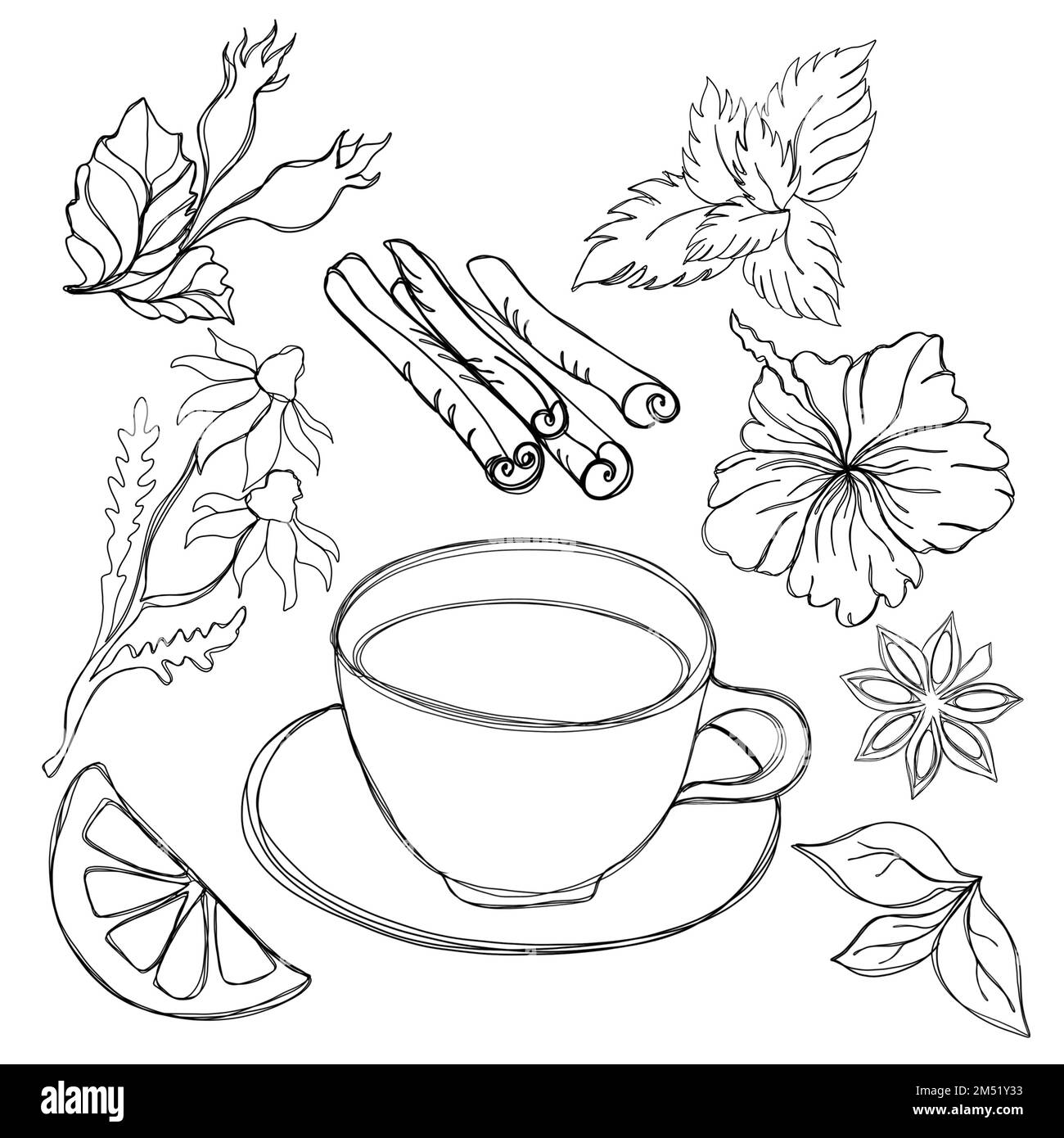 Ampia collezione di tè: Una tazza di tè con fettine di limone, bastoncini di cannella, fiori di ibisco, menta e camomilla, fianchi di rosa e anice Foto Stock