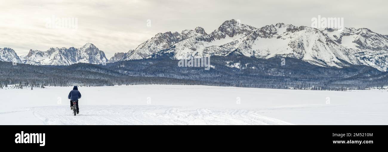 Montagne a dente di sega con una bici grasso pneumatico in inverno Foto Stock