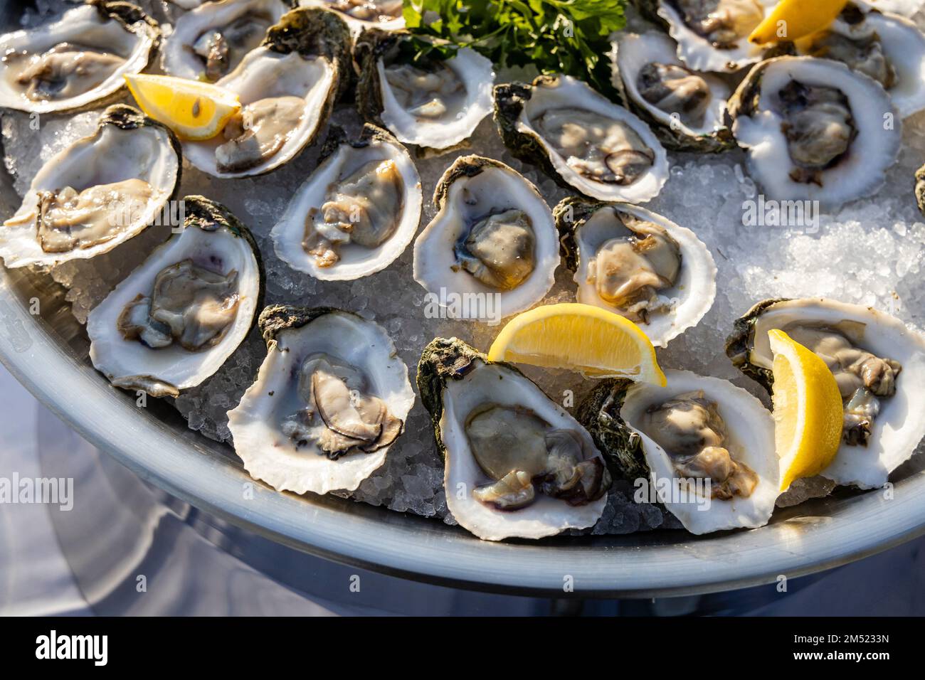 Foto stock di ostriche su ghiaccio con fettine di limone, e servita in un ambiente esterno. Foto Stock