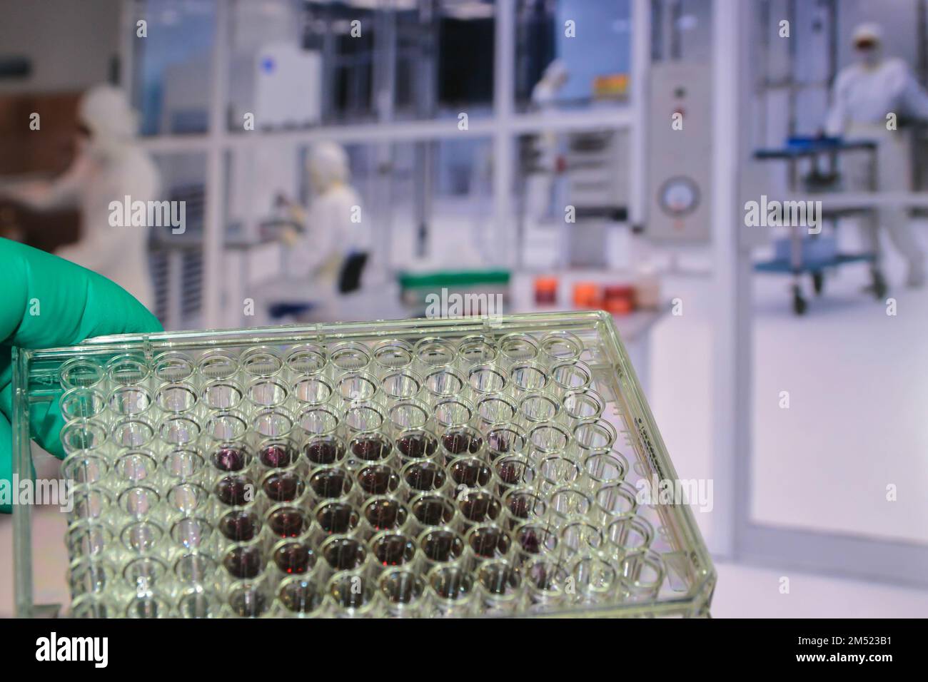 Nel laboratorio biologico. Tavoletta per la ricerca di colture cellulari sullo sfondo dell'interno di un laboratorio scientifico. Foto Stock