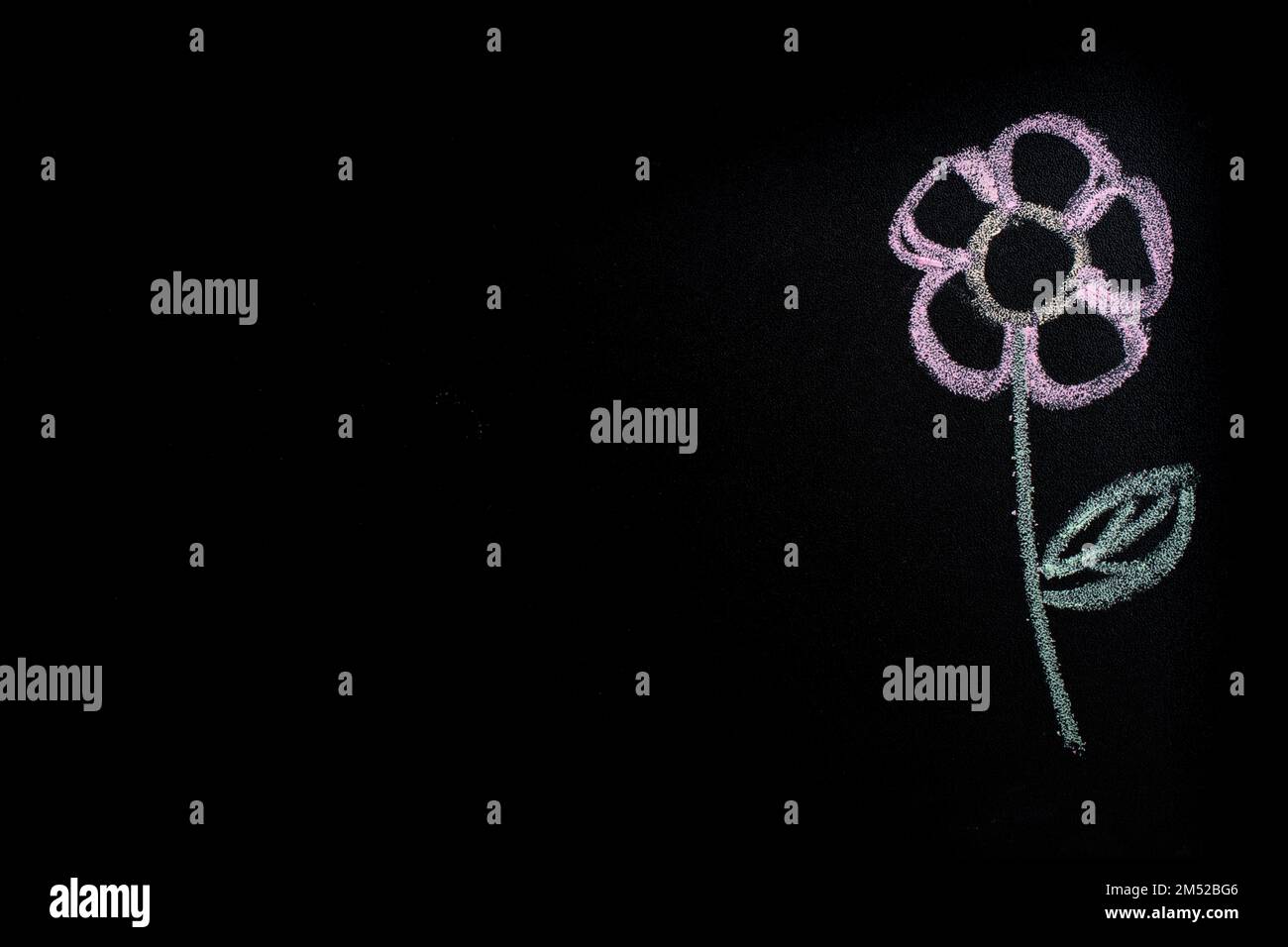 Disegnato a mano fiore semplice con gesso bianco sulla lavagna Foto Stock