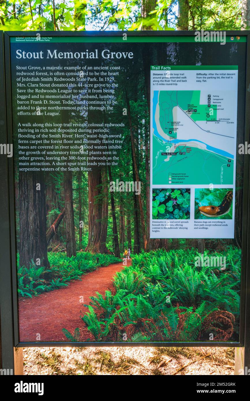 Insegna interpretativa presso lo Stout Grove, il Jedediah Smith Redwoods state Park, il Redwood National Park, California USA Foto Stock