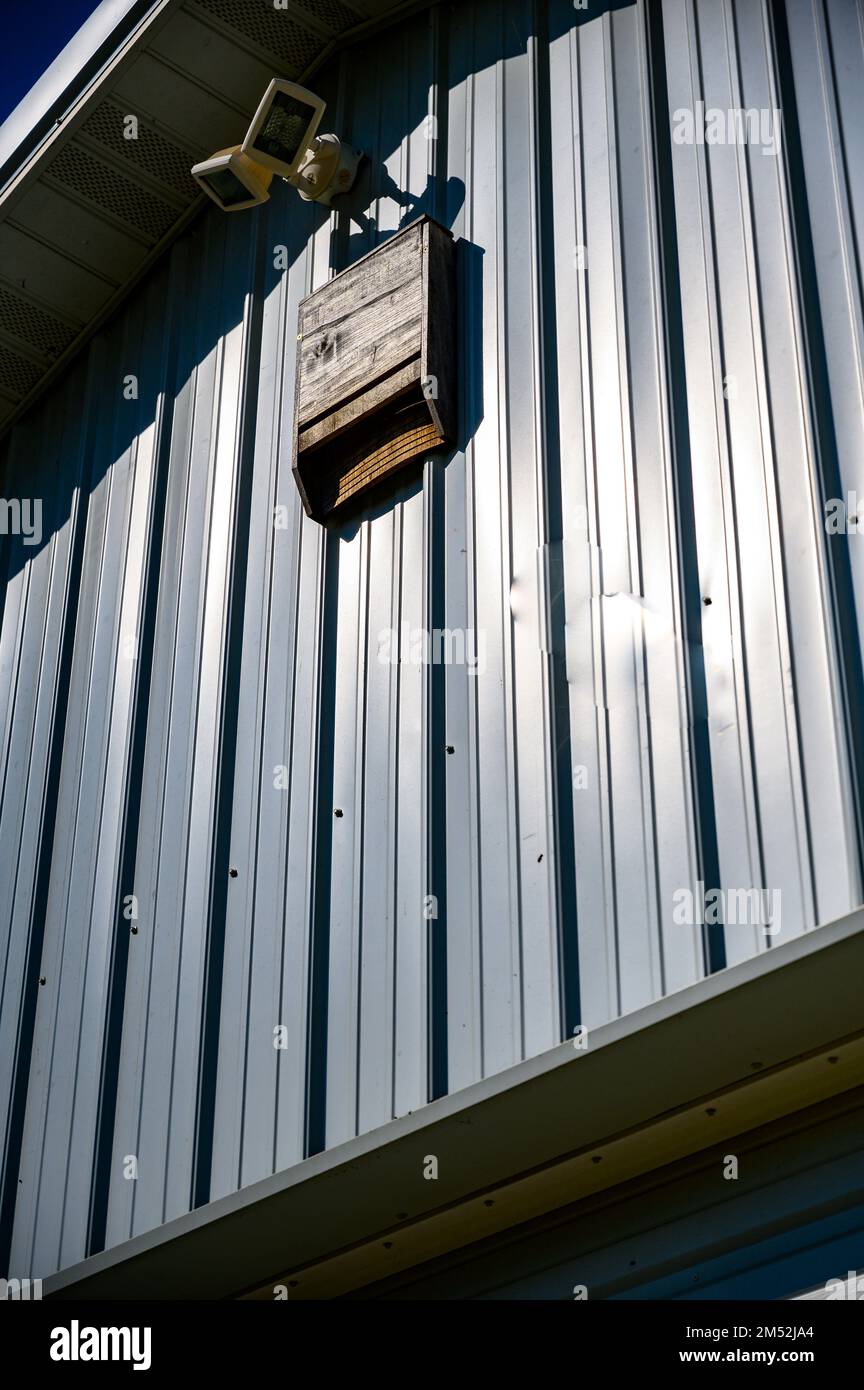 Casa di pipistrello di legno su fienile di stagno corrugato bianco Foto Stock