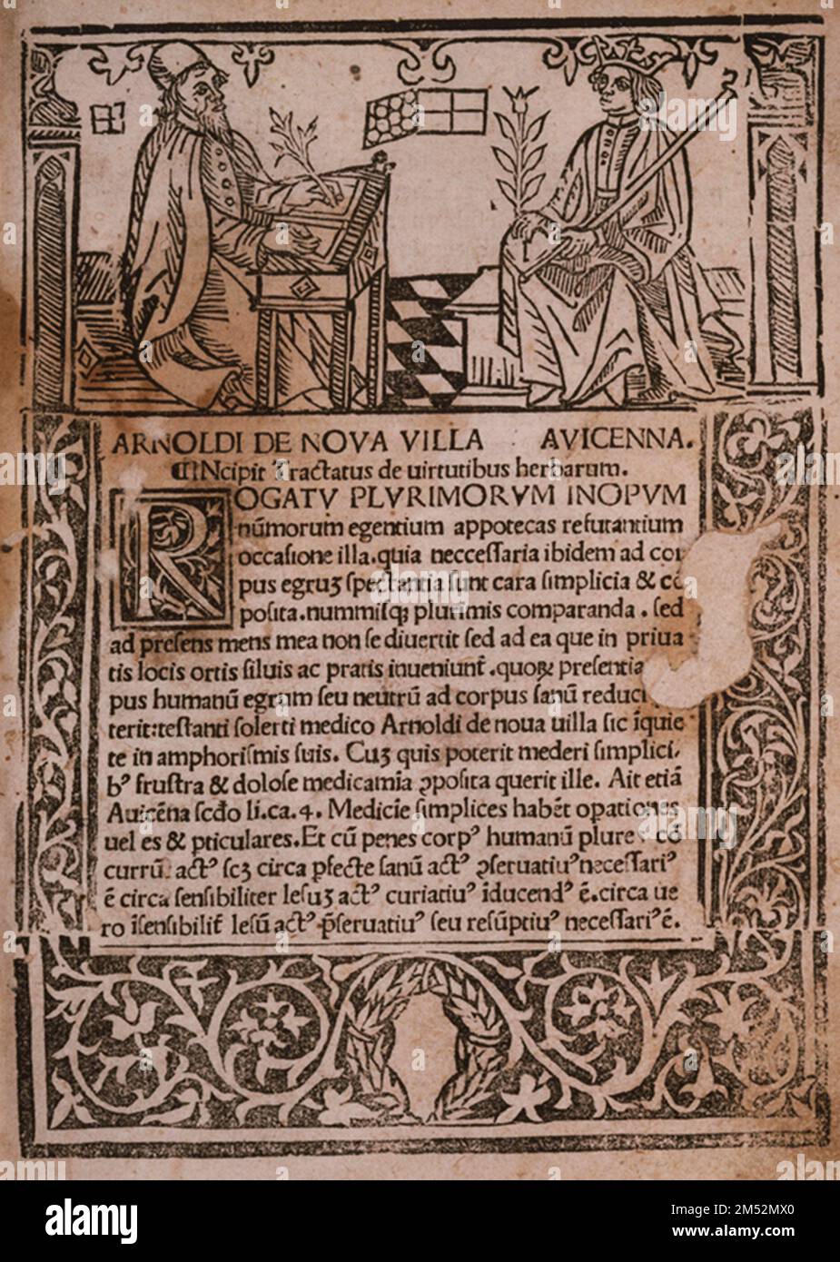 Testo e stampa del legno dall'Herbolarium, che descrive gli usi medicinali delle erbe e delle piante comuni con illustrazioni del legno di ciascuno. L'opera fu attribuita un tempo al medico medievale Arnaldus de Villanova (1311) a causa di questo fantasioso frontespizio che raffigura un incontro di Arnaldus con il medico arabo Avicenna dell'XI secolo. Tuttavia, l'Herbolarium è una raccolta di minerali botanici classici e medievali provenienti da molte fonti. Pubblicato Vincenza, 27 ottobre 1491 Foto Stock