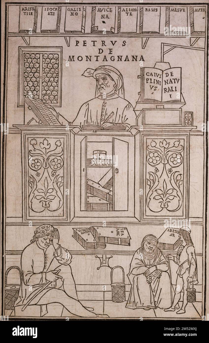 Illustrazione da Fasciculus medicinae (Venezia, 1495) della biblioteca medica medievale di Petrus de Montagnana Foto Stock