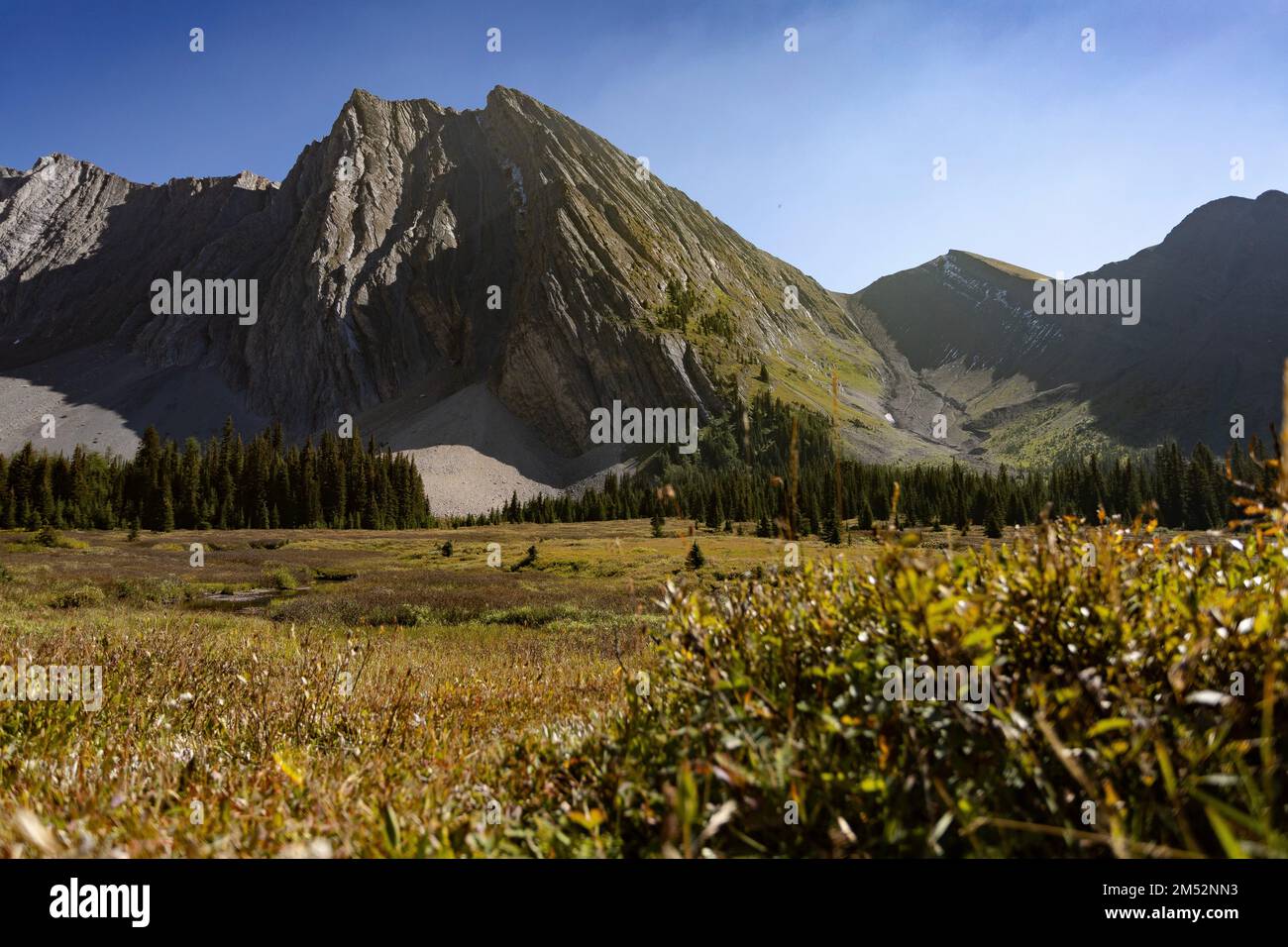 Il bellissimo Monte Chester in una giornata di sole con un cielo blu sullo sfondo, Alberta, Canada Foto Stock