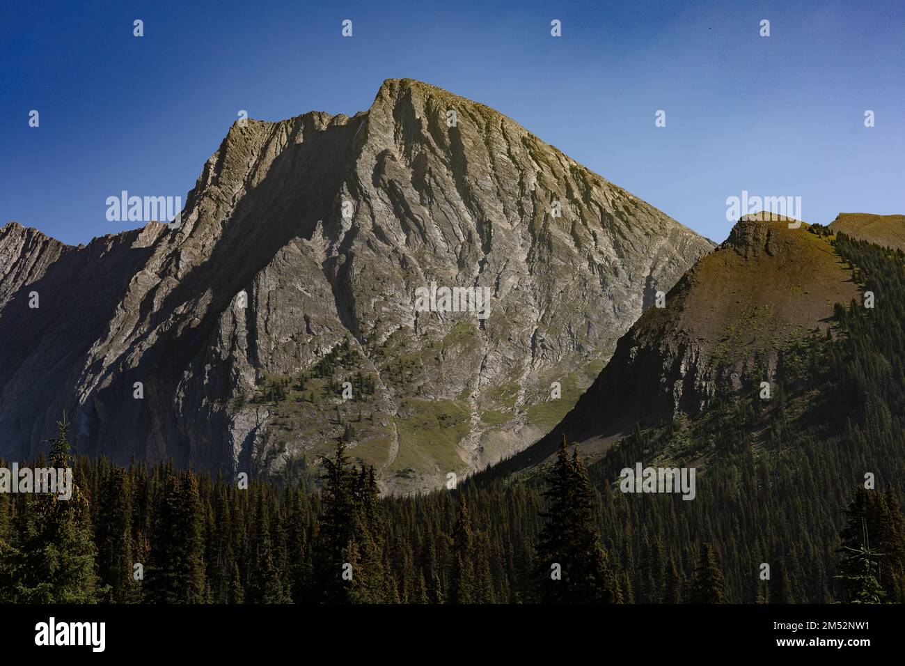 Il bellissimo Monte Chester in una giornata di sole con un cielo blu sullo sfondo, Alberta, Canada Foto Stock