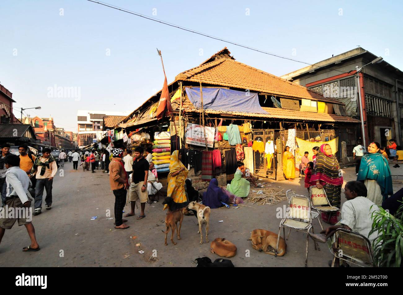 Un mercato colorato nella zona del nuovo mercato di Kolkata, India. Foto Stock