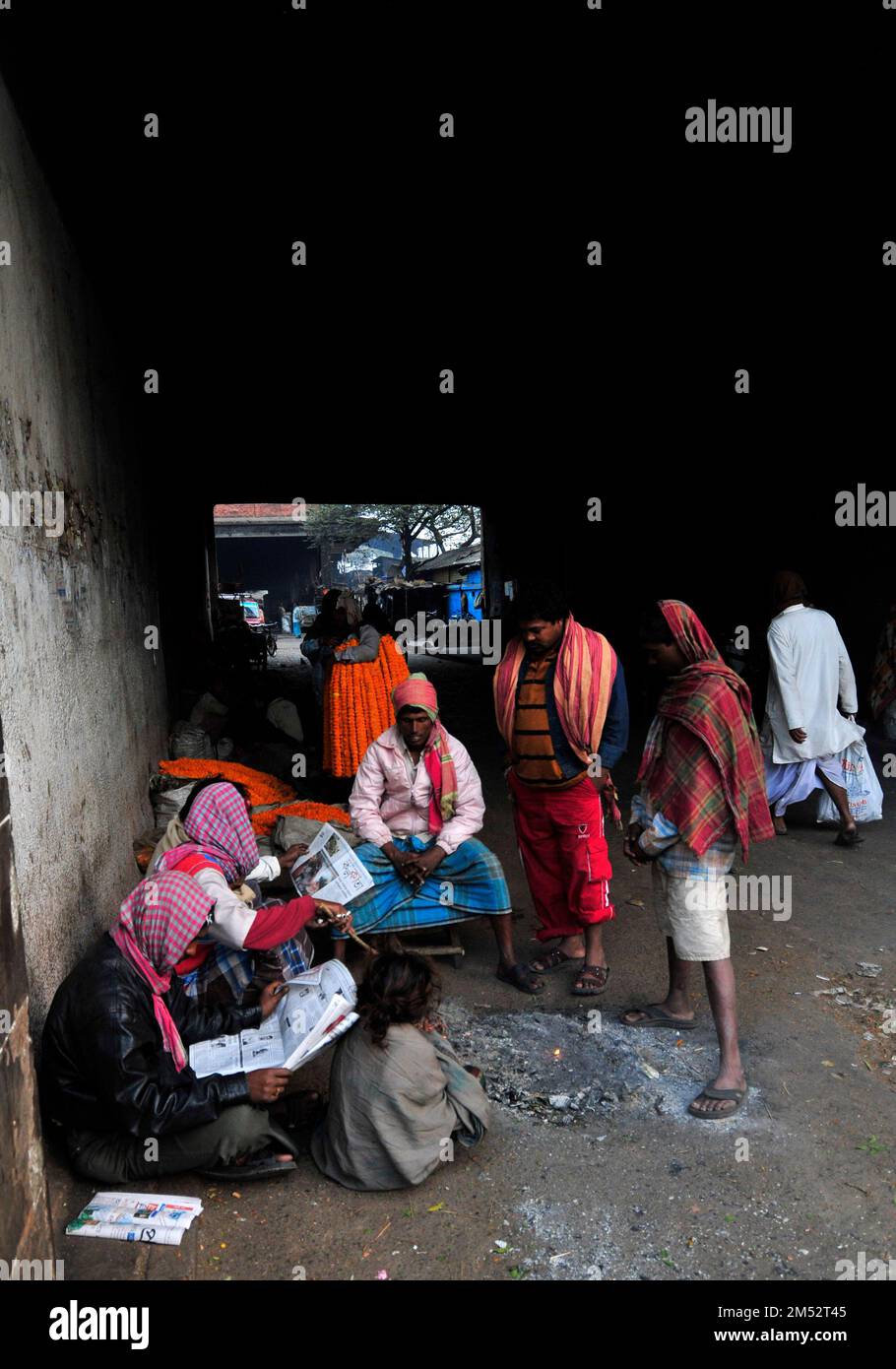 Uomini bengalesi che leggono il giornale mattutino al mercato dei fiori di Malik ghat a Kolkata, in India. Foto Stock