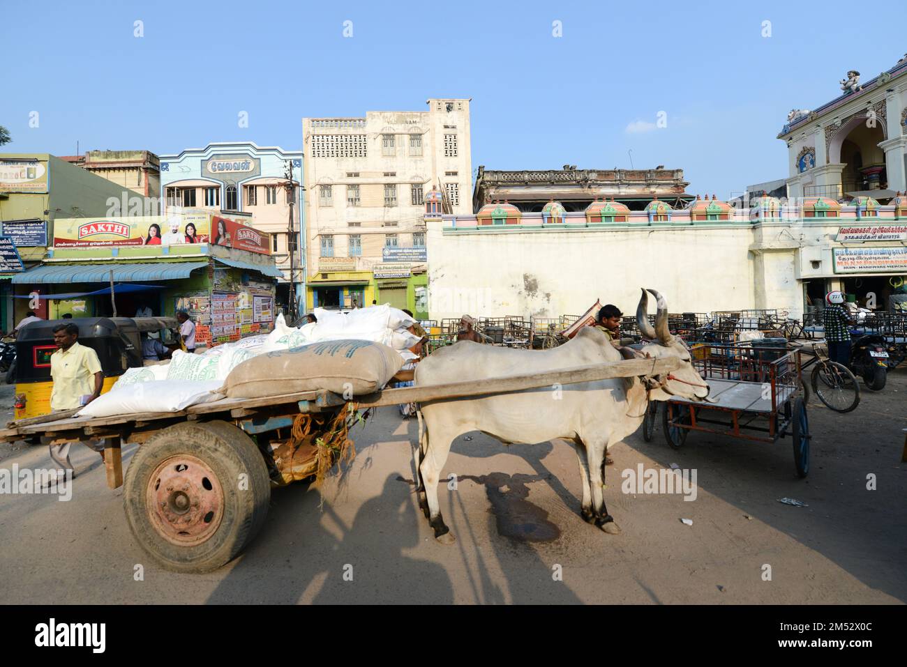 La vibrante città vecchia di Madurai, Tamil Nadu, India. Foto Stock