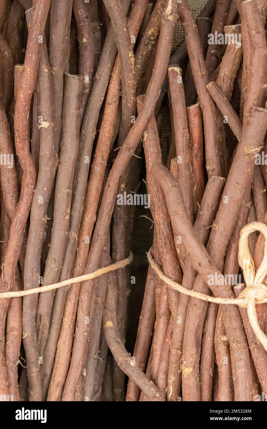 primo piano in vista verticale di grappoli di radice di liquirizia. uno dei più antichi condimenti Foto Stock