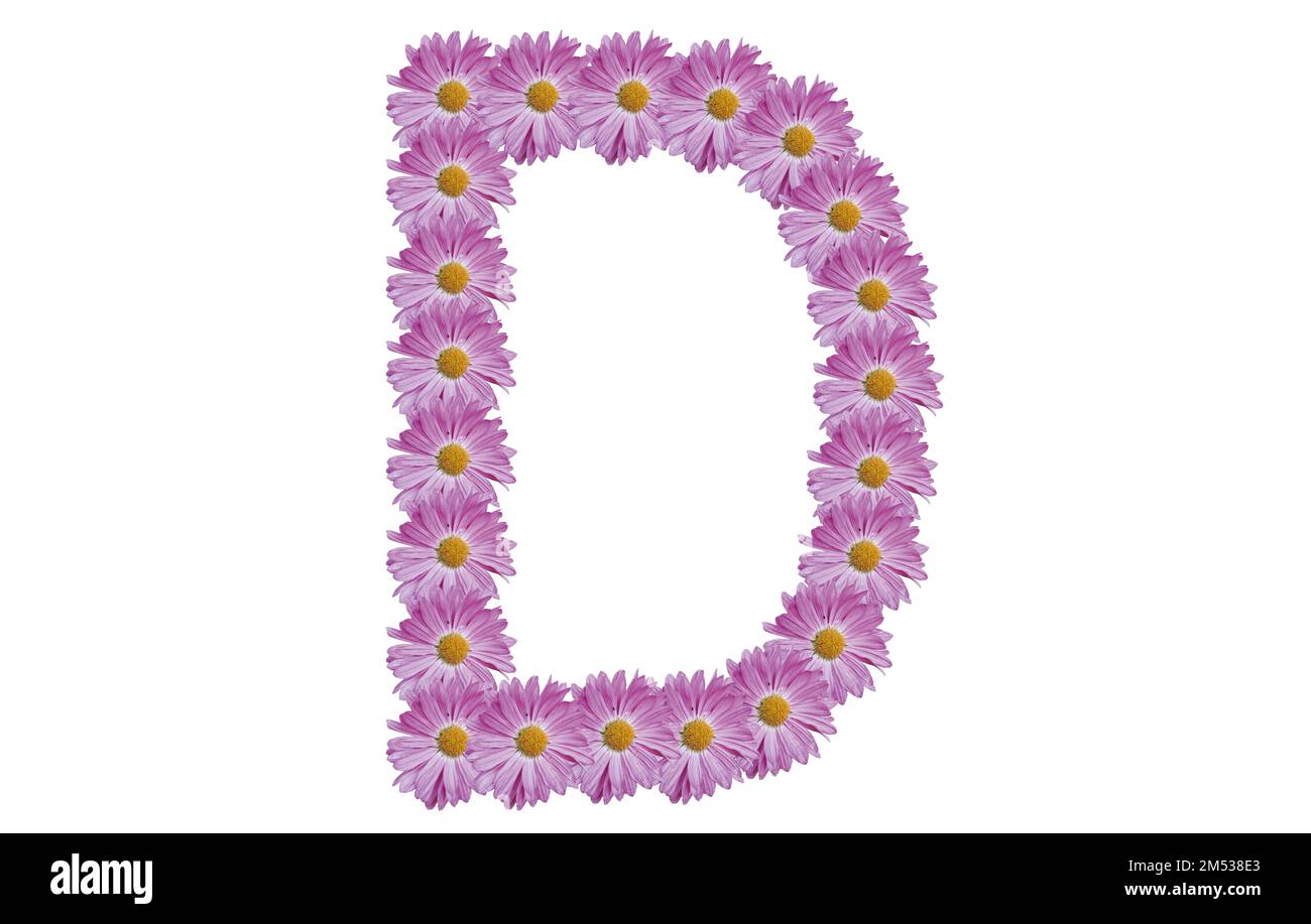 Lettera D con fiore rosa isolato su sfondo bianco. Idea di concetto di primavera. Foto Stock