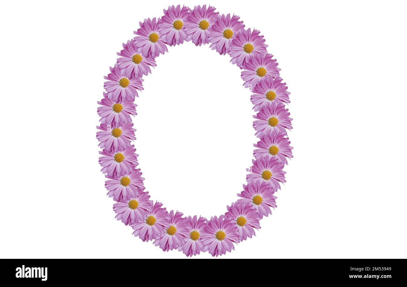 Lettera o fatta con fiore rosa isolato su sfondo bianco. Idea di concetto di primavera. Foto Stock