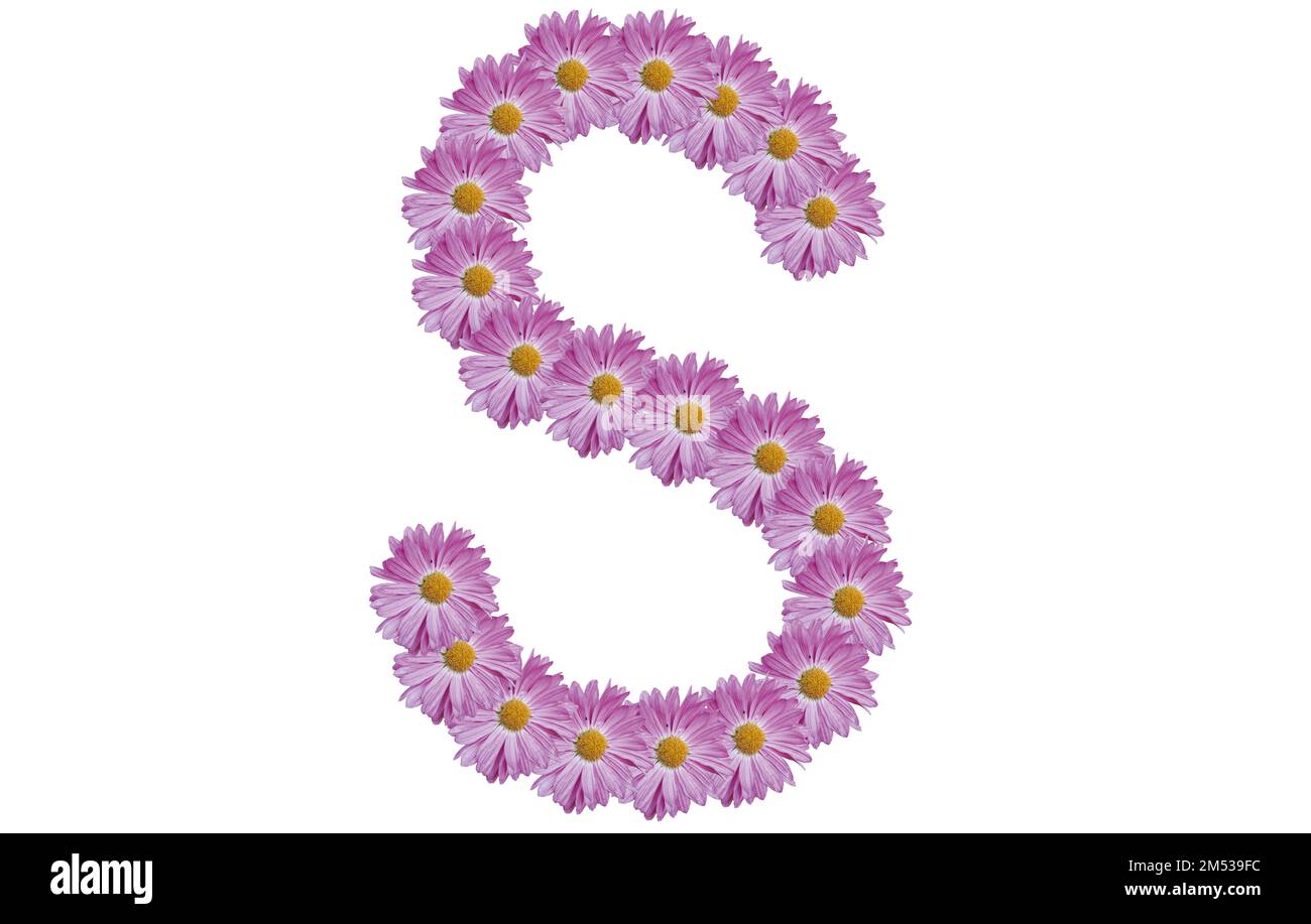 Lettera S con fiore rosa isolato su sfondo bianco. Idea di concetto di primavera. Foto Stock