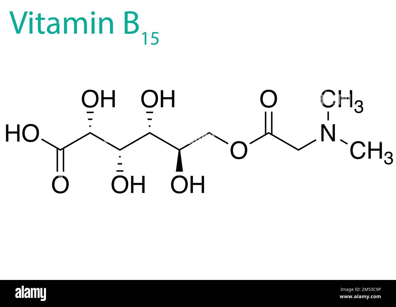 Un'illustrazione di una molecola di vitamina B15 isolata su sfondo bianco Illustrazione Vettoriale