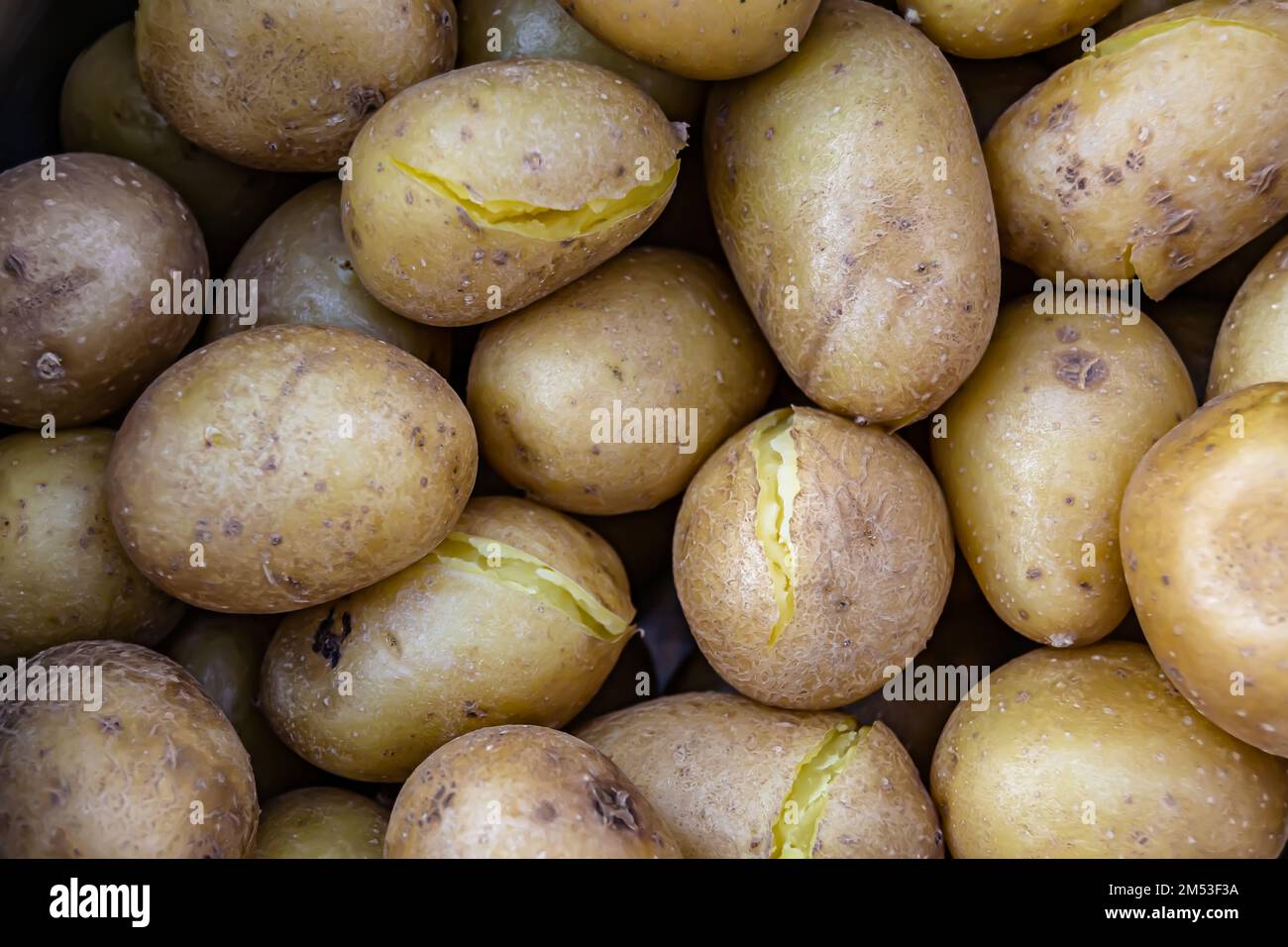 Fotografia a tema grande bella patata appena sfornata in giacca su sfondo scuro, foto che consiste di grande patata naturale cotta a giacca, cr Foto Stock