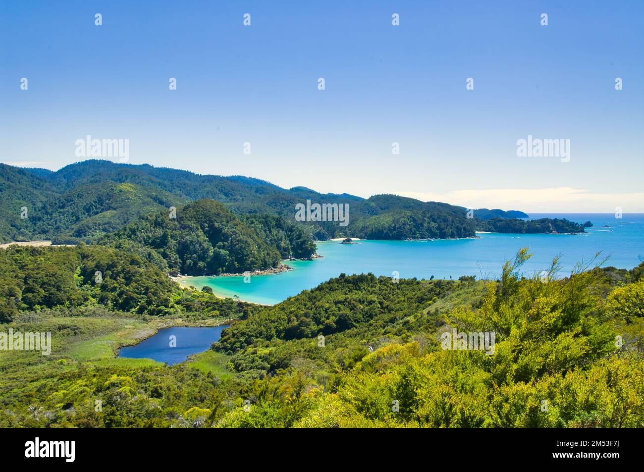 Vista sulla costa del Parco Nazionale Abel Tasman, South Island, Nuova Zelanda. Dalla pista costiera di Abel Tasman tra Marahau e la baia di Anchorage. Foto Stock