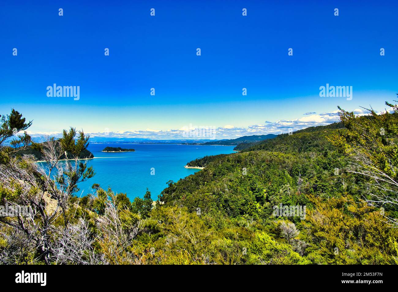 Vista sulla costa del Parco Nazionale Abel Tasman, South Island, Nuova Zelanda. Dalla pista costiera di Abel Tasman tra Marahau e la baia di Anchorage. Foto Stock