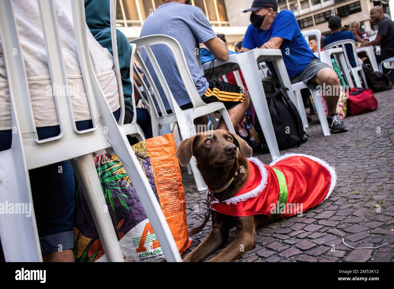 Un cane in un abito di Natale è seduto ai piedi del suo proprietario, mentre attende la cena di carità la notte di Natale. Cena di Natale per i senzatetto nel centro di Rio de Janeiro. 150 volontari sotto la chiesa Battista mobilitati in piazza Largo de Carioca per servire la cena di Natale per le persone che vivono per le strade del centro di Rio de Janeiro. Per 15 anni la chiesa Battista ha organizzato questo evento per i senzatetto. Nella seconda città più grande del Brasile, circa 15.000 persone vivono per strada senza casa. (Foto di Antonio Cascio/SOPA Images/Sipa USA) Foto Stock