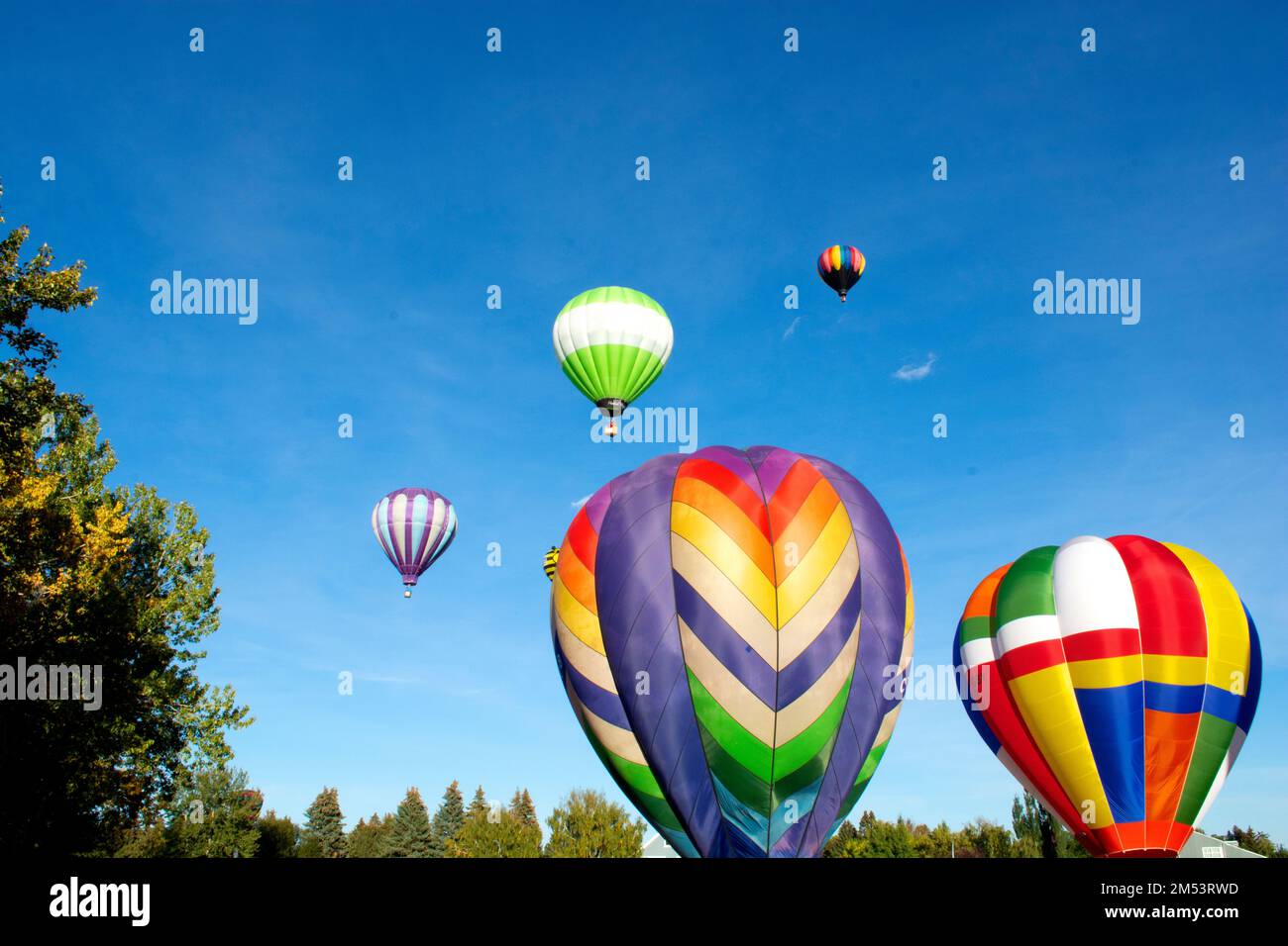 Coloratissime mongolfiere che decollare al festival in una bella giornata. Foto Stock