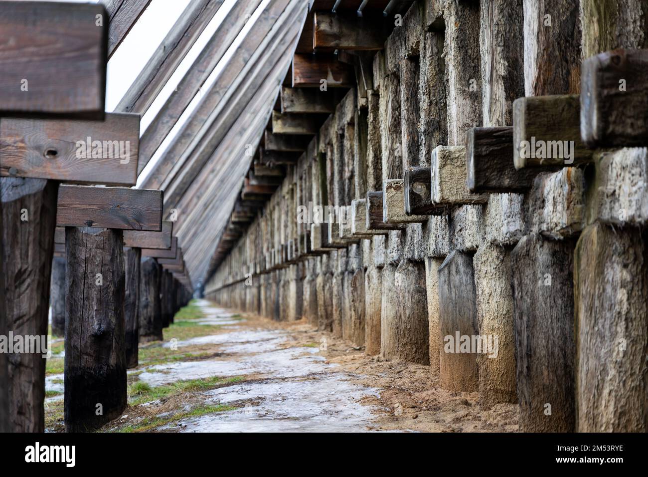 Costruzione di una torre di graduazione in legno. Primo piano dei montanti della struttura portante. Proprietà sanitarie di salamoia.Ciechocinek Foto Stock