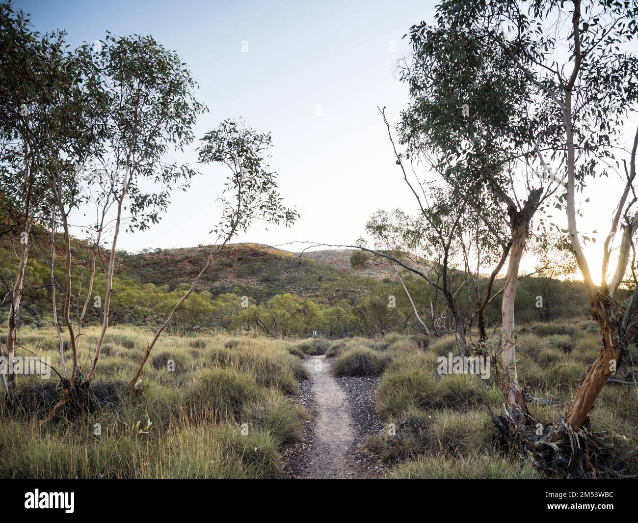 La sezione 12 del Larapinta Trail conduce al Monte Sonder, West Macdonnell (Tjoritja) National Park, Northern Territory, Australia Foto Stock