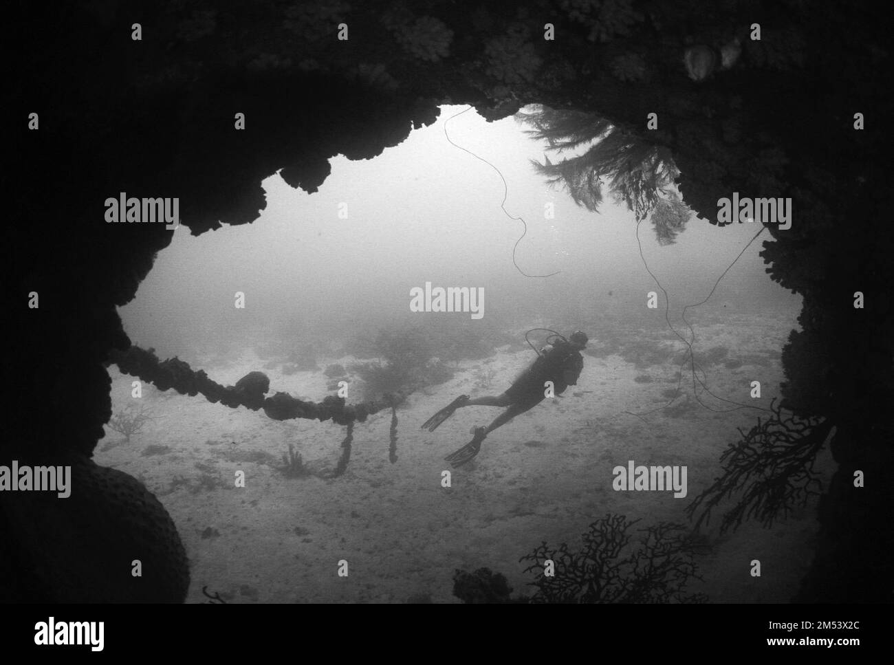 Una scala di grigi di un subacqueo in una muta catturata nuotando lontano da una grotta subacquea Foto Stock