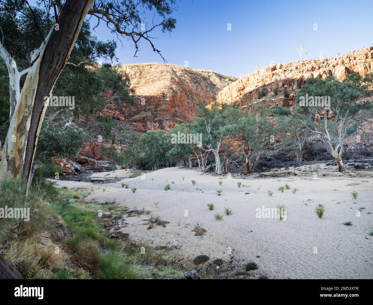 L'Ormiston Creek secco che conduce alla Gola di Ormiston, West Macdonnell (Tjoritja) National Park, Northern Territory, Australia Foto Stock