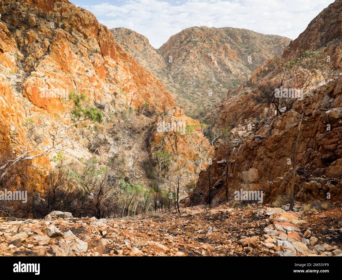 Punto di vista sopra Standley Chasm sulla sezione 3 del Larapinta Trail, West Macdonnell (Tjoritja) Parco Nazionale. Foto Stock