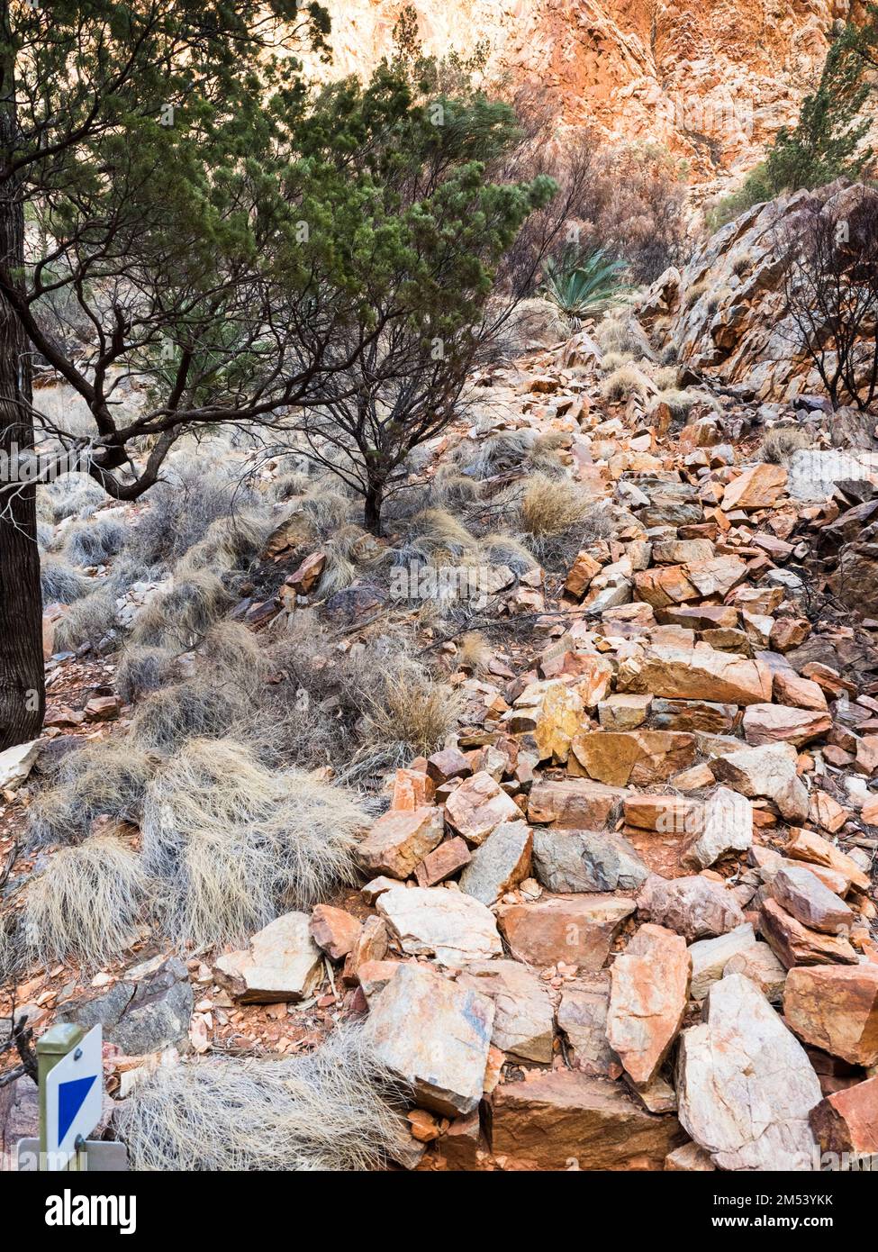 Scalini di pietra sulla Sezione 3 del sentiero Larapinta sopra Standley Chasm, West Macdonnell (Tjoritja) Parco Nazionale. Foto Stock