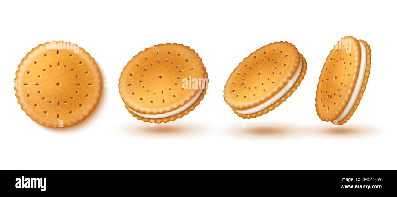 Biscotti rotondi per sandwich. Panini con crema di biscotti secchi realistici, diversi angoli di visualizzazione, cracker con buchi, snack deliziosi e dolci Illustrazione Vettoriale