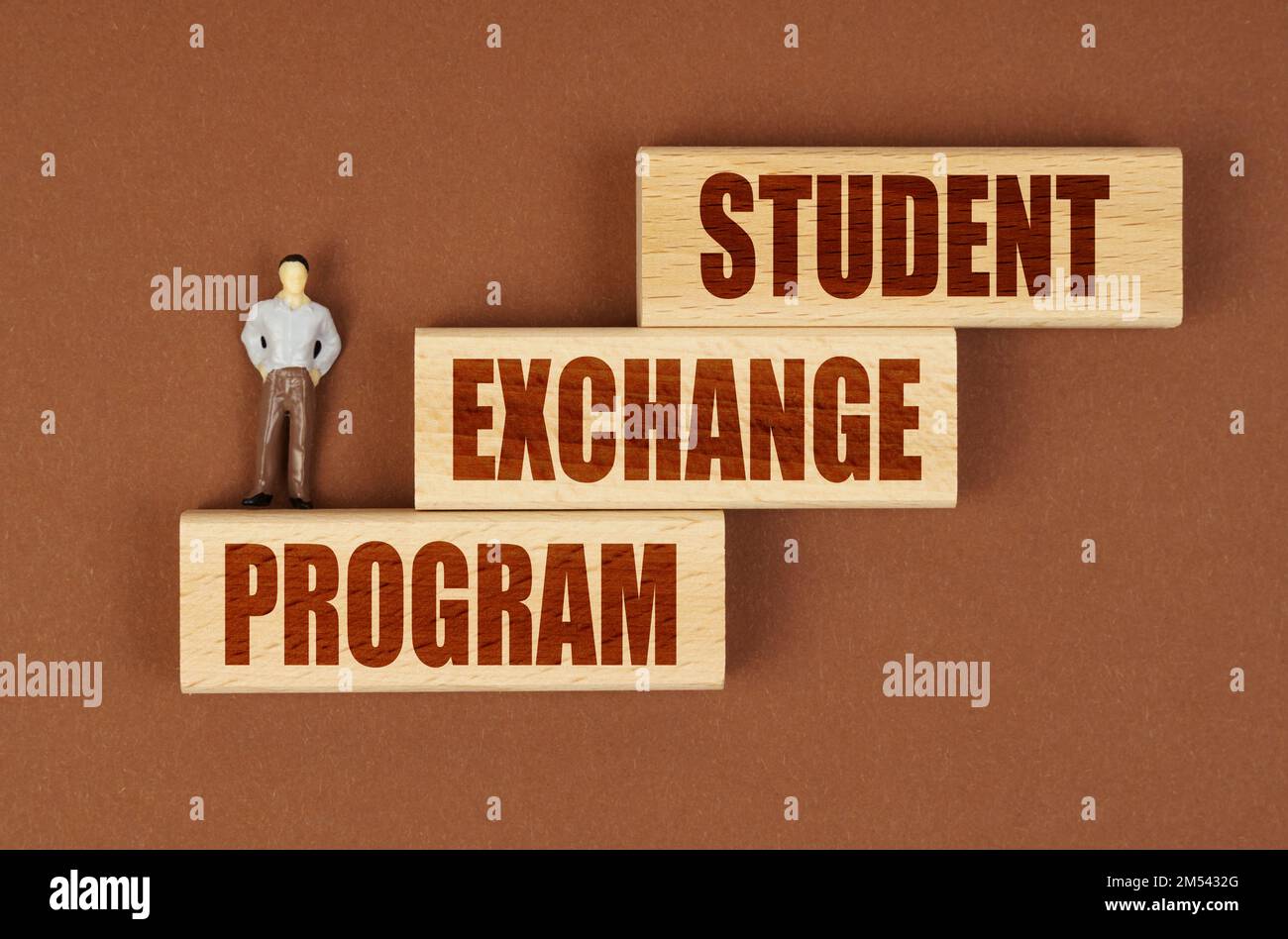 Concetto aziendale. Su una superficie marrone su blocchi di legno con l'iscrizione - PROGRAMMA DI SCAMBIO STUDENTI, c'è una figura in miniatura di un uomo d'affari. Foto Stock
