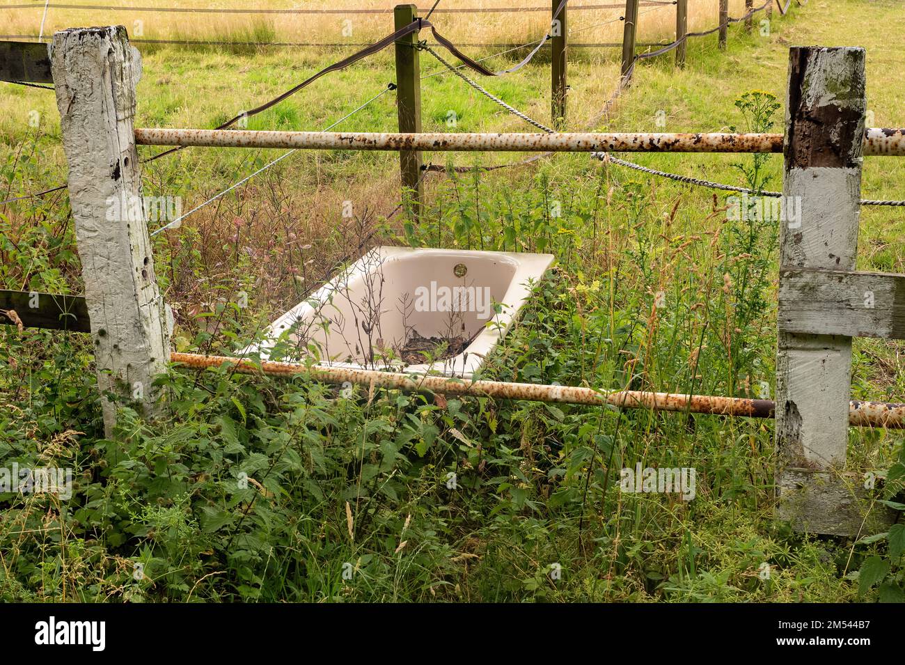 Una vecchia vasca da bagno nel mezzo di un campo di erba verde vicino a recinzioni scheggiate arrugginite Foto Stock