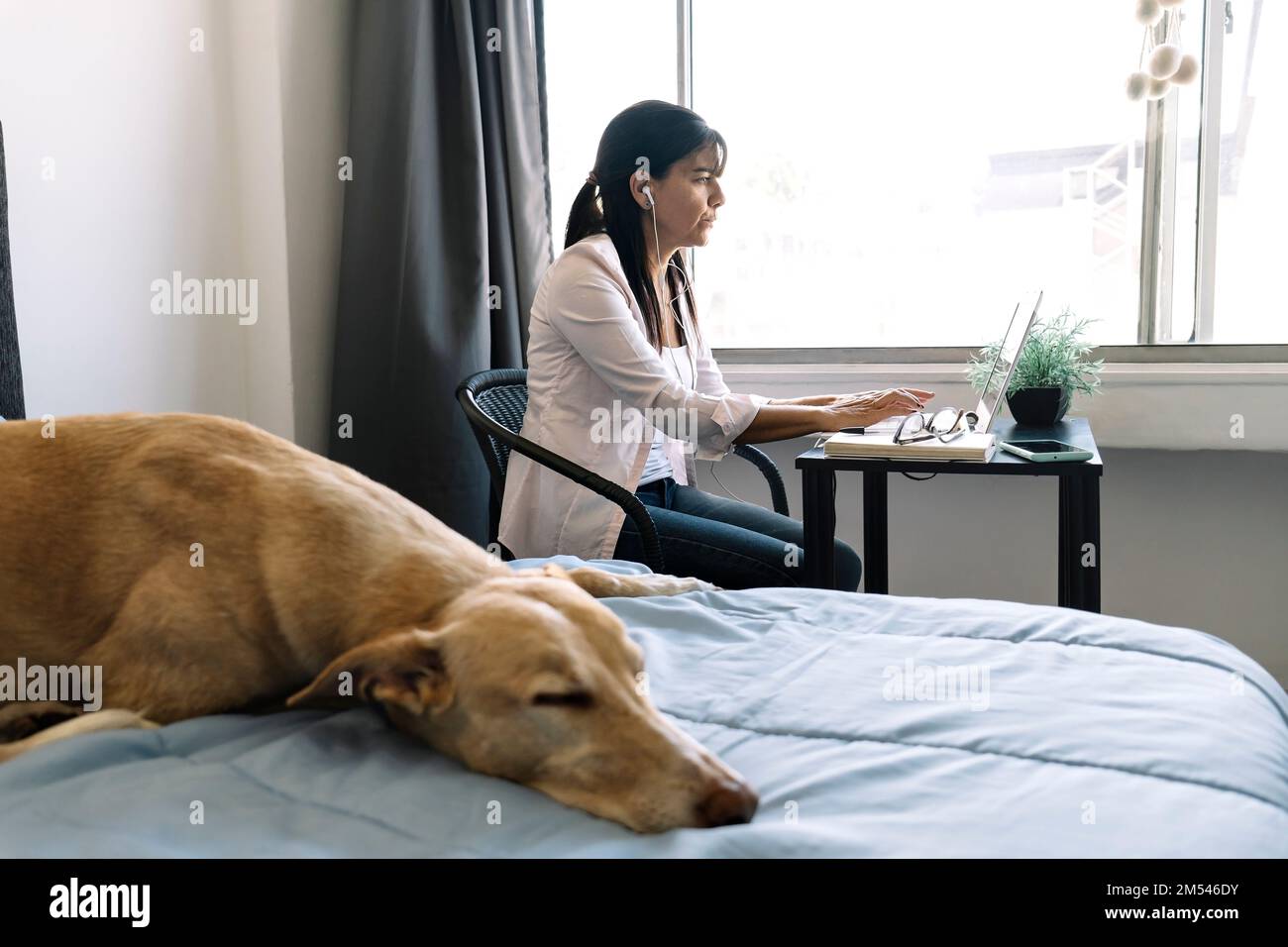 Donna d'affari che lavora su un computer portatile seduto a casa con un cane da compagnia e gestendo la sua attività attraverso l'ufficio domestico durante Coronavirus o Covid-1 Foto Stock