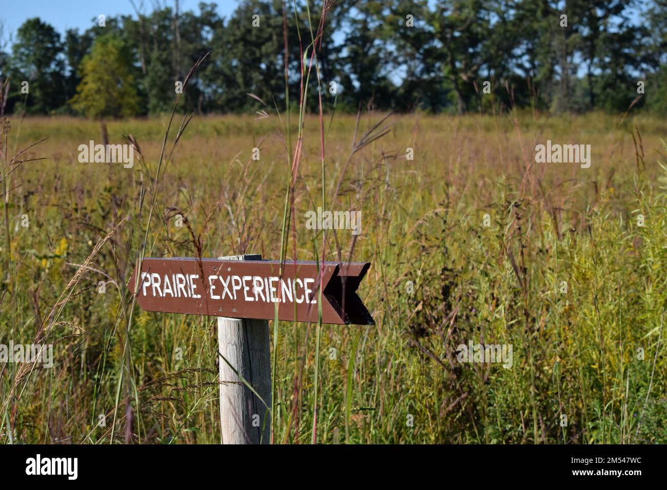 Un cartello che indica un percorso escursionistico nella prateria in un parco della contea locale nel Wisconsin sud-occidentale dove vivo. Foto Stock