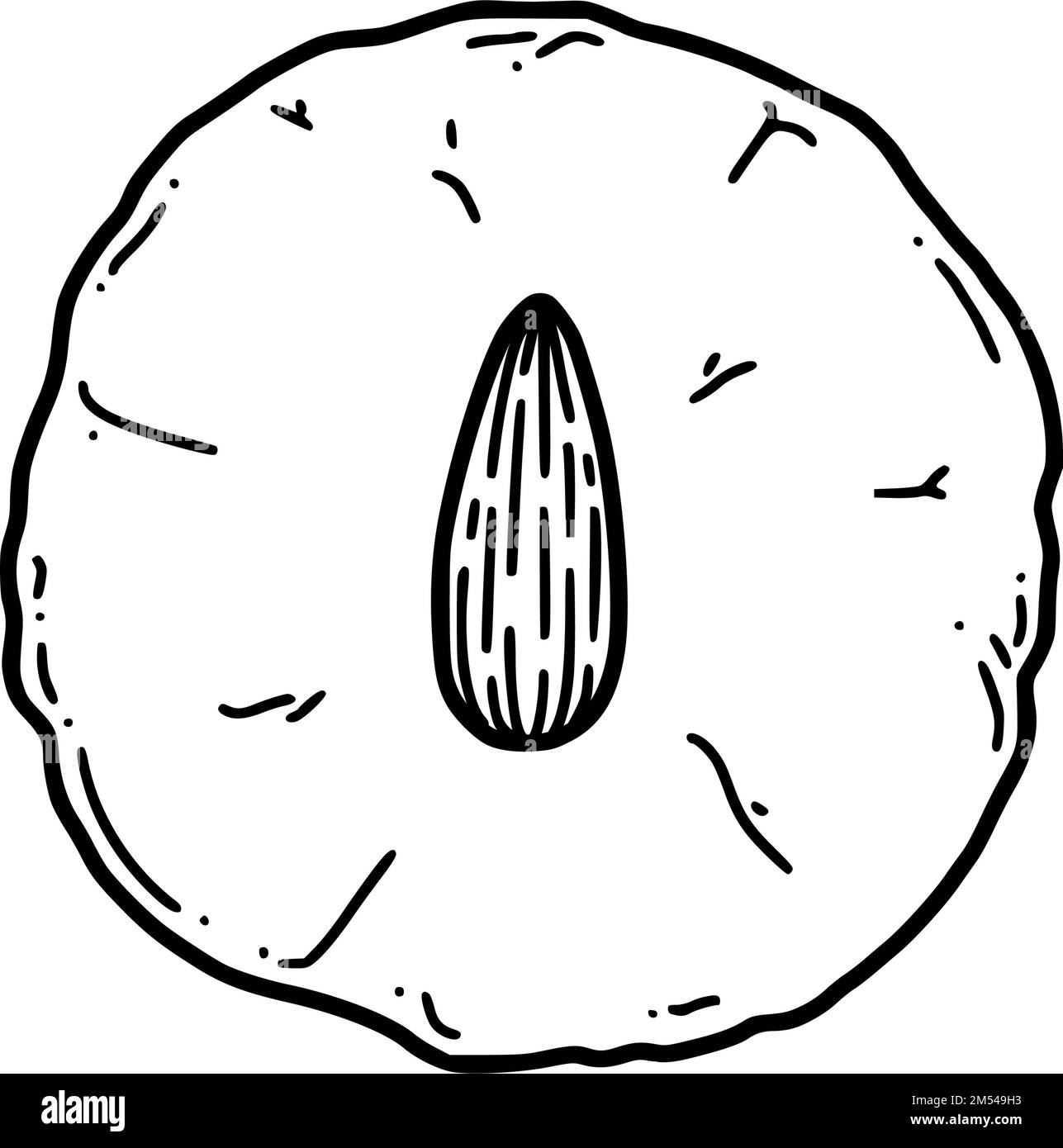 Illustrazione vettoriale dei biscotti cinesi alle mandorle. Dolce cinese di Capodanno biscotto alle mandorle in stile doodle. Illustrazione Vettoriale