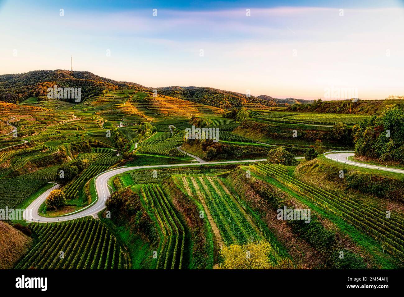 Strada nei vigneti, Texas passo, con montagna Totenkopf, Oberbergen, Kaiserstuhl, Baden-Wuerttemberg, Germania Foto Stock