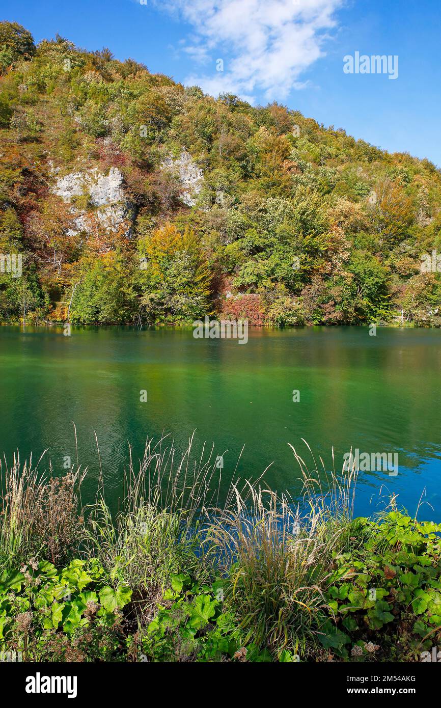 Il Parco Nazionale dei Laghi di Plitvice, patrimonio mondiale dell UNESCO, Croazia, Europa Foto Stock