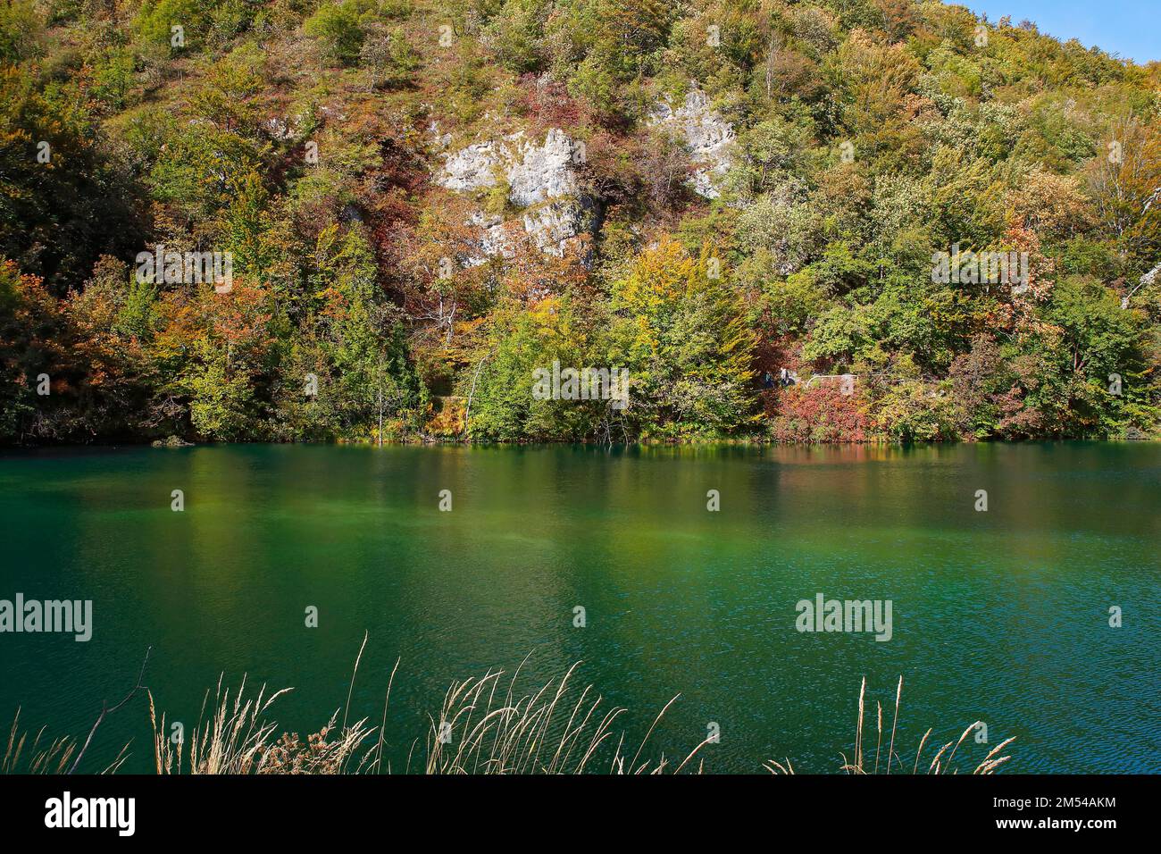 Parco nazionale dei laghi di Plitvice, patrimonio dell'umanità dell'UNESCO, Croazia Foto Stock
