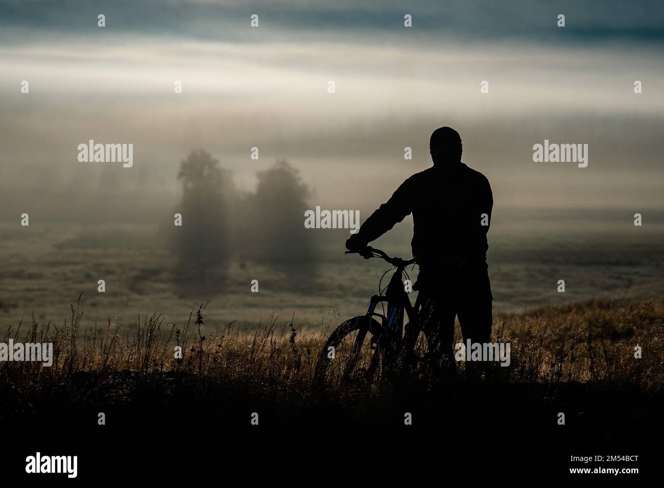 Azione, attivo, attività, avventura, background, bella, bicicletta, bicicletta, biker, bicicletta, ciclo, ciclista, discesa, attrezzatura, esercizio, estrema Foto Stock