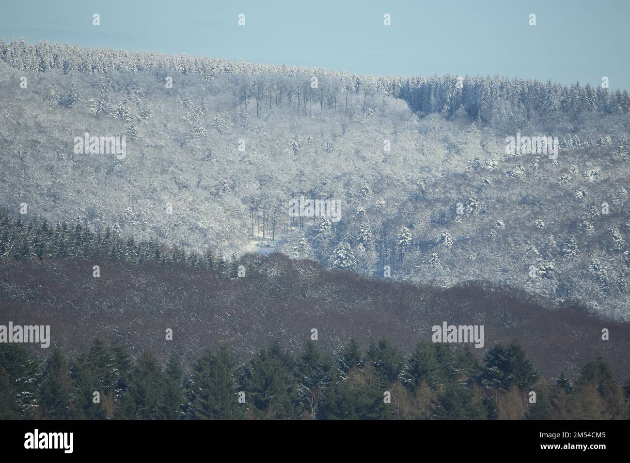 Vista del paesaggio invernale con la neve e la foresta in inverno, la linea di neve, il paesaggio, la foresta, la bassa catena montuosa, Idstein, Taunus, Assia, Germania Foto Stock