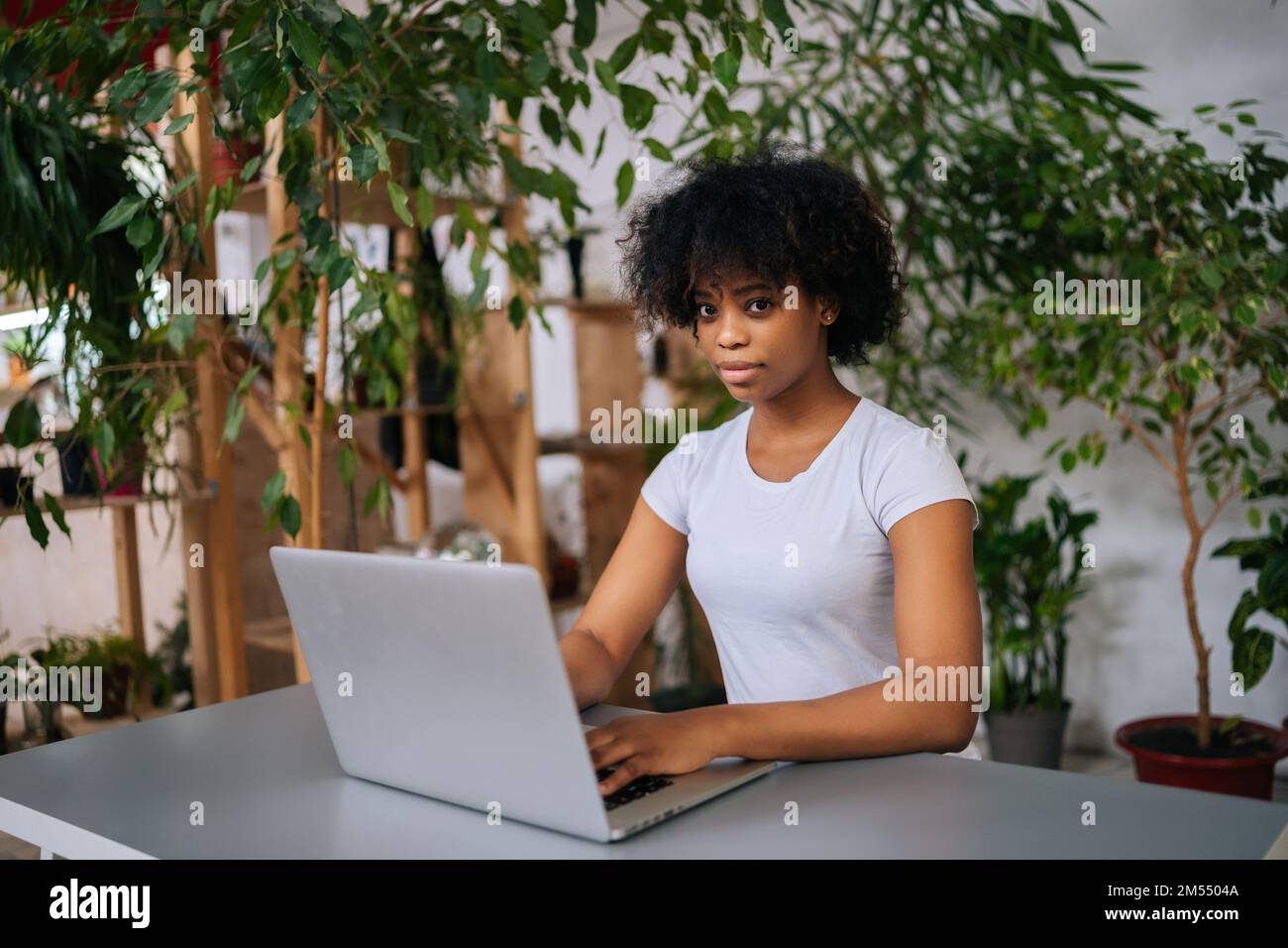 Attraente donna afroamericana di affari che lavora al computer portatile seduto alla scrivania dalla stanza remota dell'ufficio domestico con interno biofilo moderno Foto Stock