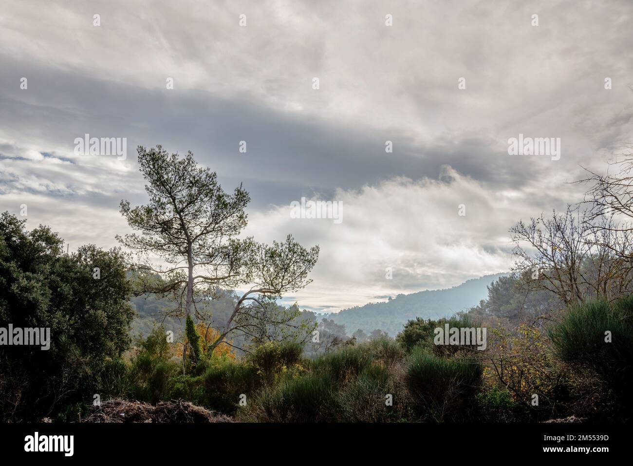 Vista delle montagne e delle colline nel dipartimento del Var in Francia, in autunno. Le foglie degli alberi diventano gialle e rosse, grandi nuvole grigie flo Foto Stock